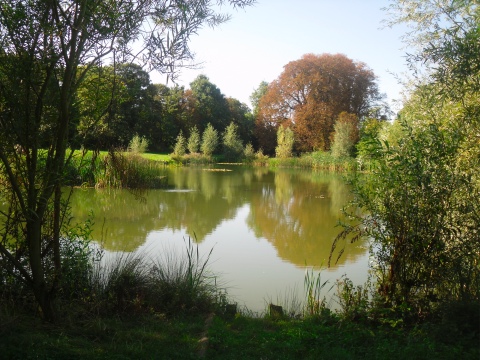 Home - Lakes Farm Fishery